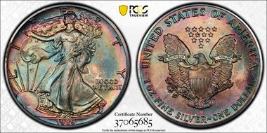 1989 $1 Silver Eagle MS66