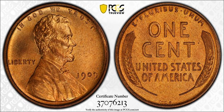 Cert 37076213 - Coin Image