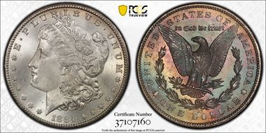 1884-CC $1 MS65