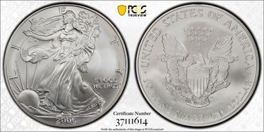 2006-W $1 Burnished Silver Eagle 20th Anniversary SP68