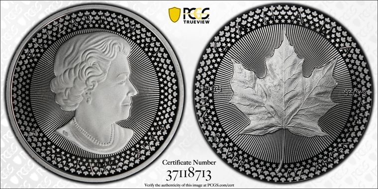 Cert 37118713 - Coin Image