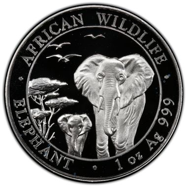 Cert 37130164 - Coin Image