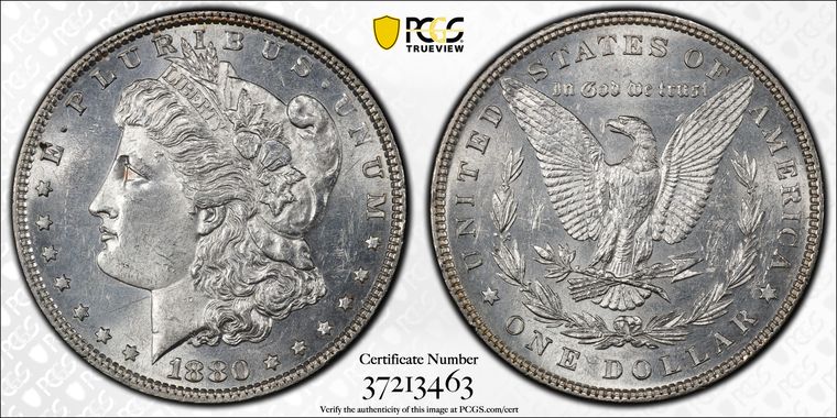 Cert 37213463 - Coin Image