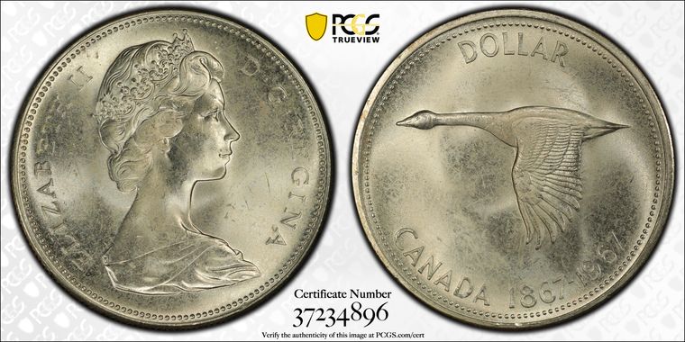 Cert 37234896 - Coin Image
