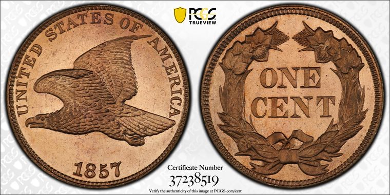 Cert 37238519 - Coin Image