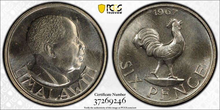 Cert 37269246 - Coin Image