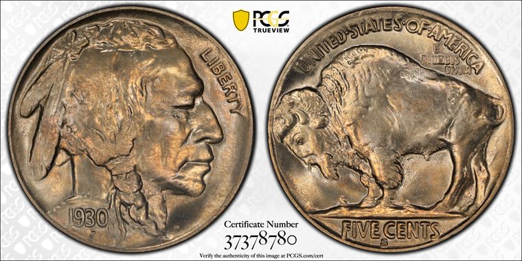 Cert 37378780 - Coin Image