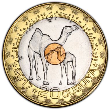 Cert 37425213 - Coin Image