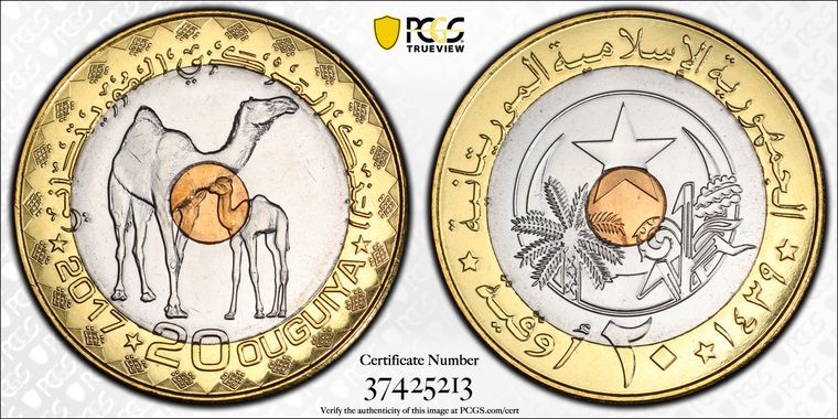 Cert 37425213 - Coin Image