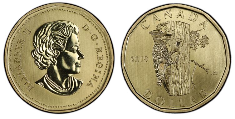 Cert 37483204 - Coin Image