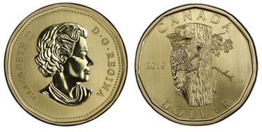 2019 $1 Pileated Woodpecker SP69