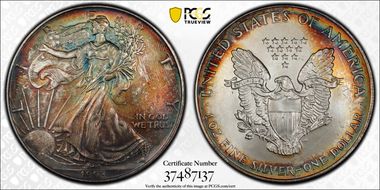 1993 $1 Silver Eagle MS67