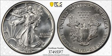 1989 $1 Silver Eagle MS64