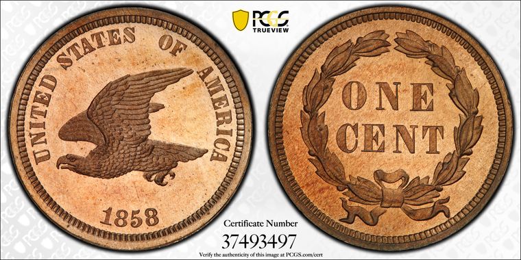 Cert 37493497 - Coin Image