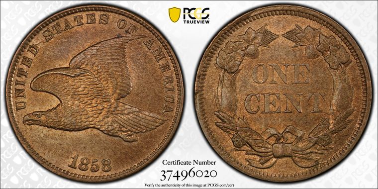 Cert 37496020 - Coin Image