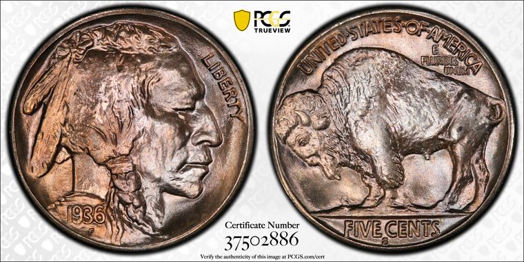 Cert 37502886 - Coin Image