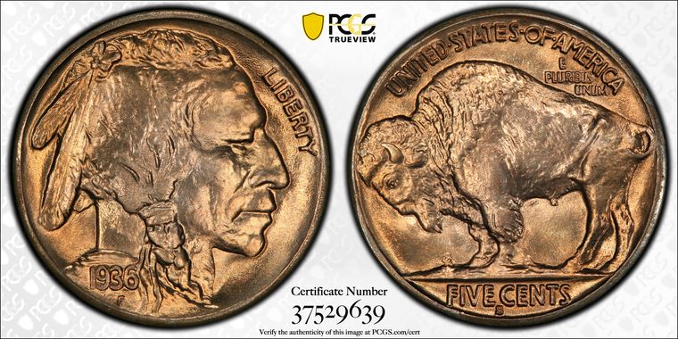 Cert 37529639 - Coin Image