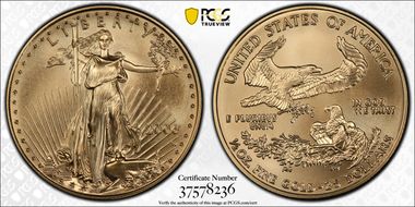 2006-W $25 Burnished Gold Eagle SP70