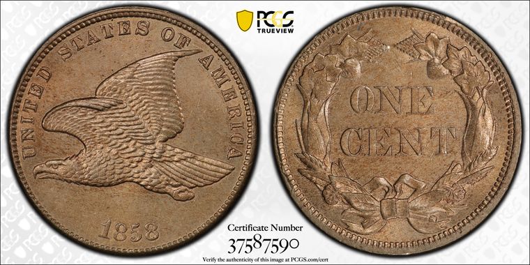 Cert 37587590 - Coin Image