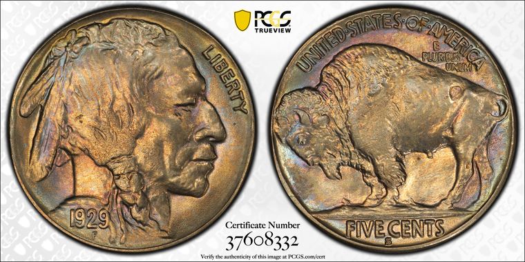 Cert 37608332 - Coin Image