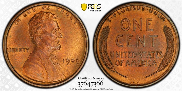 Cert 37647366 - Coin Image