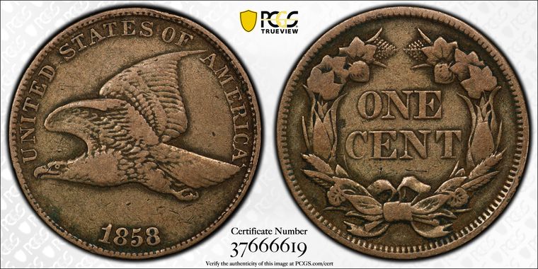 Cert 37666619 - Coin Image
