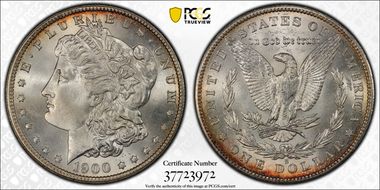 1900-S $1 MS65