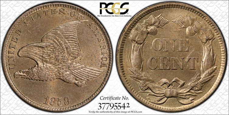 Cert 37795542 - Coin Image