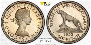 1955 6D Silver PR65CAM