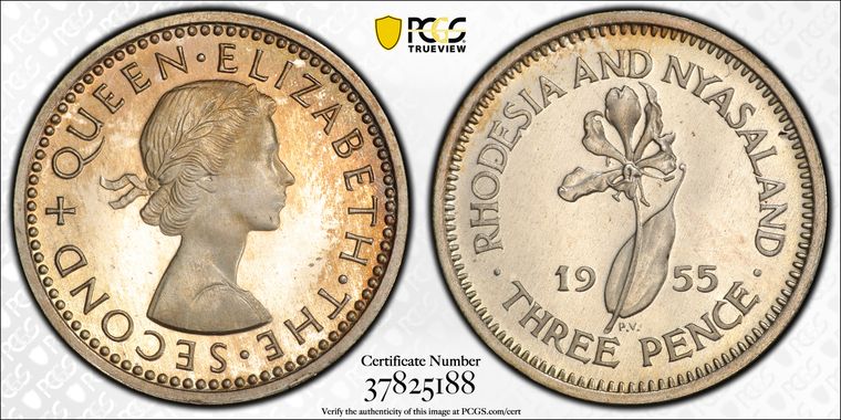 Cert 37825188 - Coin Image