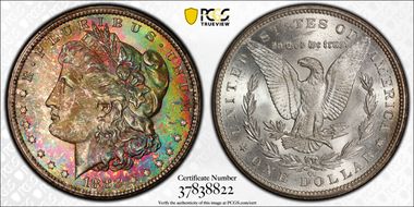 1883-CC $1 MS66+