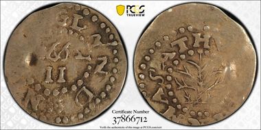 1662 2P Oak Tree, Small 2 XF40