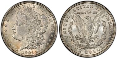 1921 $1 Morgan VAM 41A, Pitted Rev MS63