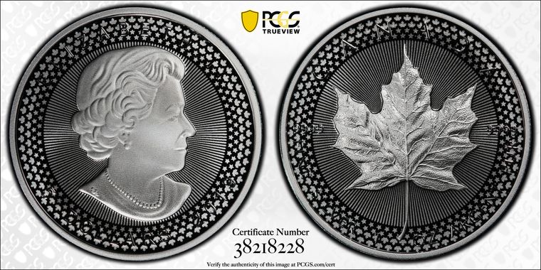 Cert 38218228 - Coin Image