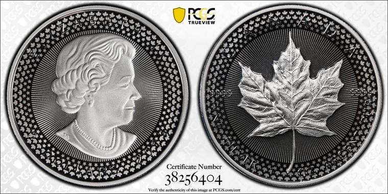 Cert 38256404 - Coin Image