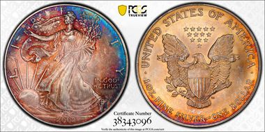 2002 $1 Silver Eagle MS64