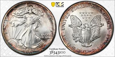 1989 $1 Silver Eagle MS68