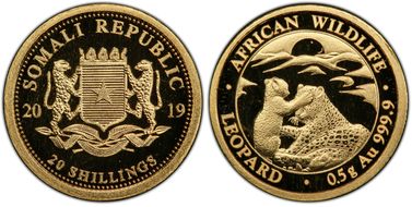 2019 20 S African Leopard Gold MS69