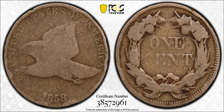 Cert 38572961 - Coin Image