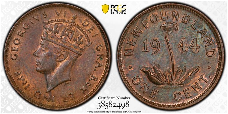 Cert 38582498 - Coin Image