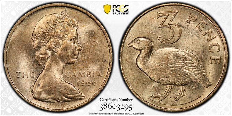 Cert 38603295 - Coin Image