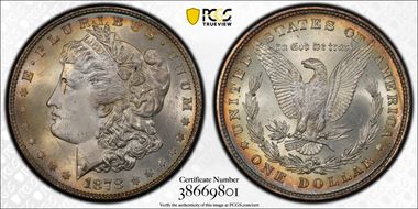 1878 8TF $1 VAM 14.2 Polished Ear MS65