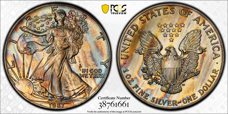 Cert 38761661 - Coin Image