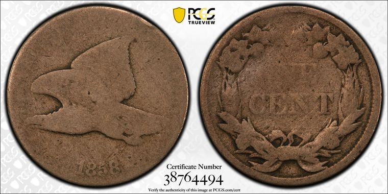 Cert 38764494 - Coin Image