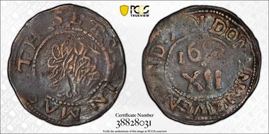 1652 Shilling Willow Tree XF40