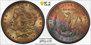 1883 $1 MS63