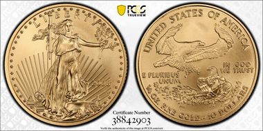 2008-W $10 Burnished Gold Eagle SP70