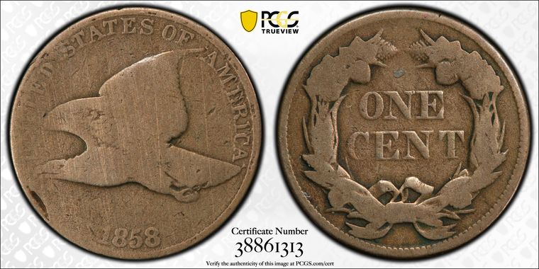 Cert 38861313 - Coin Image