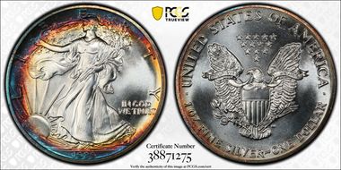 1989 $1 Silver Eagle MS69