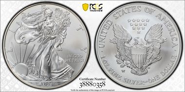 2008-W $1 Burnished Silver Eagle Reverse of 2007 SP69